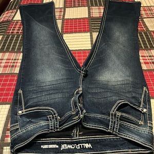 Wallflower Luscious Curvy Fit - Juniors